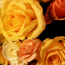 ventana-al-mundo avatar