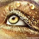 ventanasalalma avatar