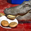 ventiswampwater avatar