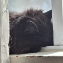 ventureingonwings avatar