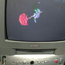 venus-syndrome avatar