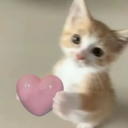 venusflytrapm avatar