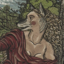 venvs-erycina avatar