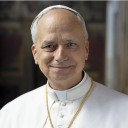 verba-leo-pp-xiv avatar