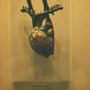 verde-de-lavanda avatar