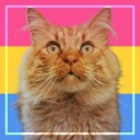 vermelho-infame avatar