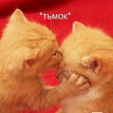 veronika-----nikiforova-blog avatar