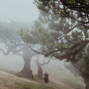 verregneter-sonntag avatar