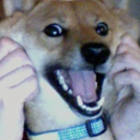 verrrrry-blog avatar