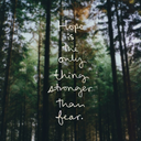 versuchtundgescheitert-blog avatar