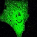 vert-pistache avatar