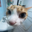 verticalfrustration avatar