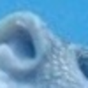 very-angst-blog avatar