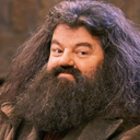 very-hairy-wizard avatar