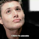 very-merry-birthday avatar