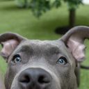 veryattractive avatar