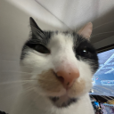 verycoolgaming avatar