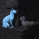 verydazesheep avatar