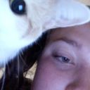 verytrashpolice avatar