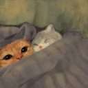 veryveryslowly avatar