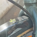 verywizardninja avatar