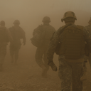 vetbookproject avatar