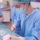 vetintraining avatar