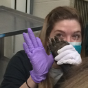 vettedeveryday avatar