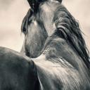 vetteman1173836 avatar