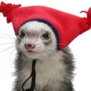 vferret avatar