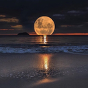 viajero-sin-rumbo avatar