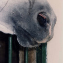 viajesdelaprida avatar