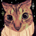 viarayy01-blog avatar