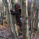 viatnamisemossyfrog avatar