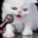 vibe-romyalgia avatar