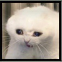 vibesandwonders avatar