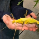 vibingandthrivingouthere avatar