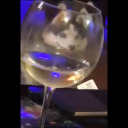 vibinginthecorn avatar