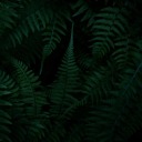 vibrantworldsblog avatar