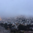 viceroyreds-blog avatar