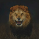 vickymoe-blog1 avatar