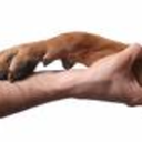 vicnohiding-blog avatar