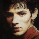 vicoviaag-blog avatar