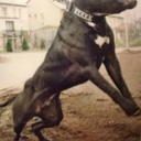 victor76sworld avatar