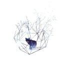 victoria-st-24 avatar