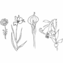 victoria33-blog1 avatar