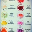 victoriacharlie avatar