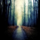 victorrmiguellcreations avatar