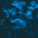 victxrfuentes avatar