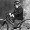 vidamsertestenyesztes avatar